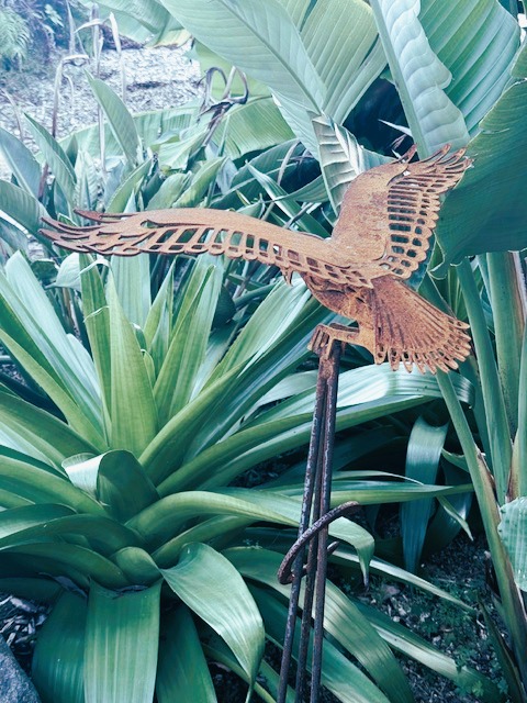 images/RS KAHU9.JPG